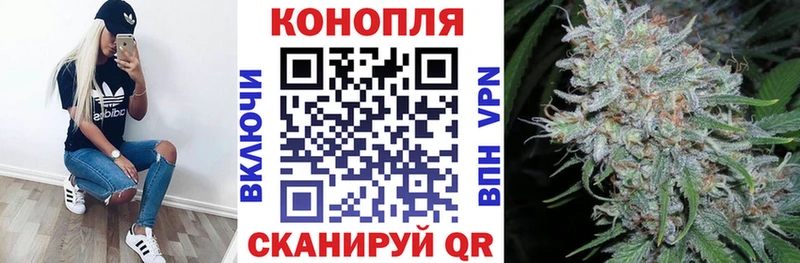Бошки марихуана MAZAR  где купить наркоту  Гремячинск 